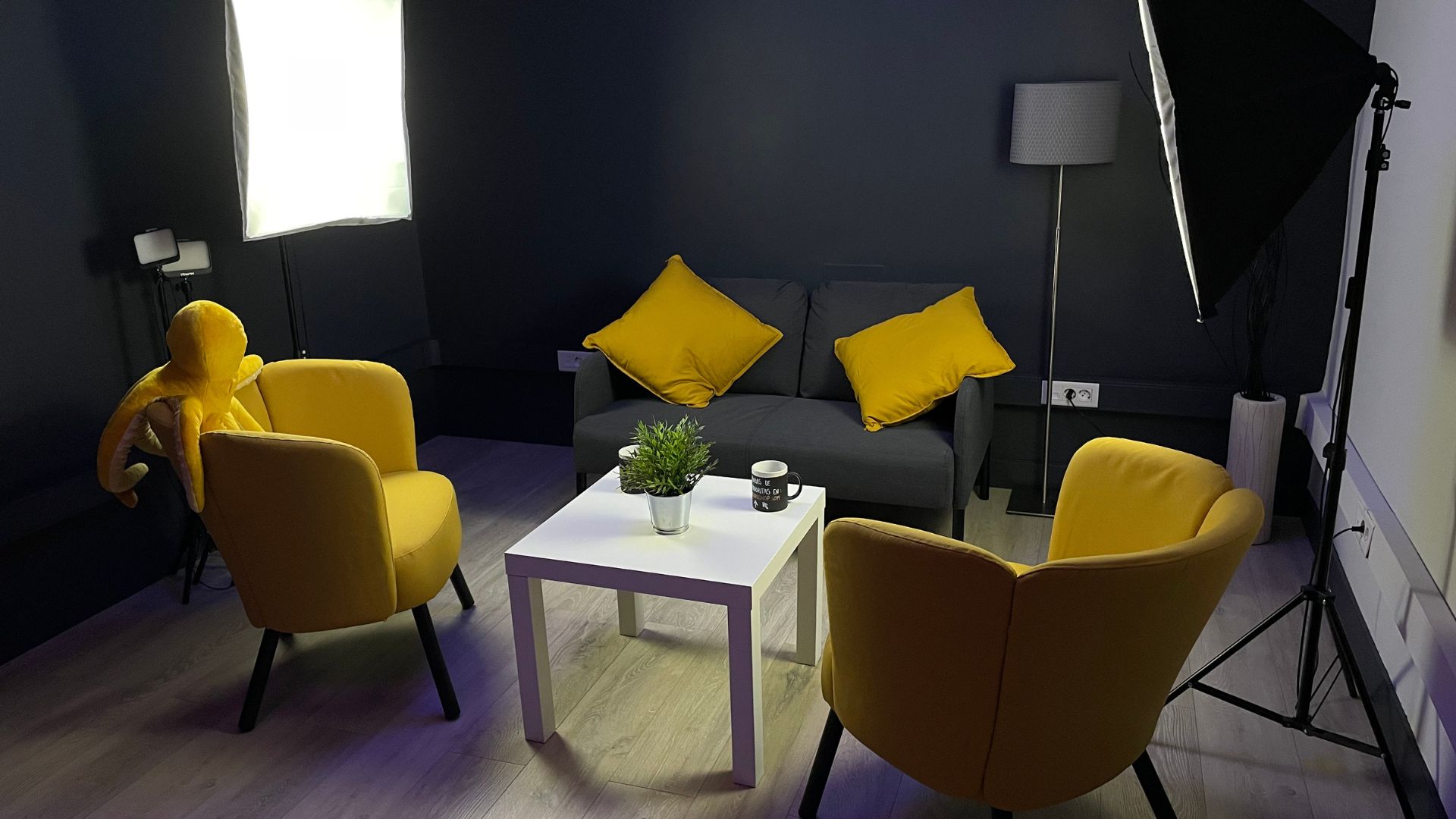 estudio para creadores de contenido en Madrid